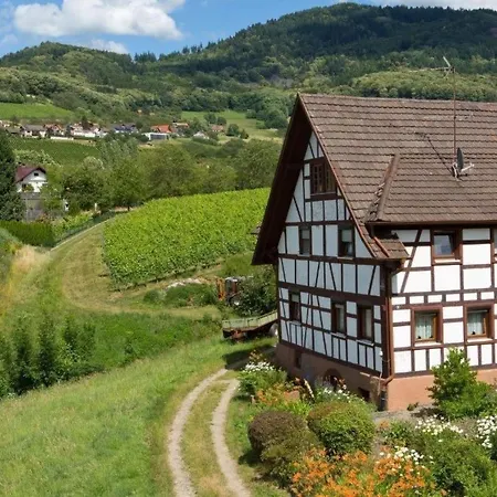 Exklusives Mit Besonderer Ausstattung By Interhome Vakantiehuis